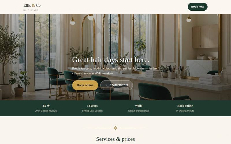Ellis & Co template preview